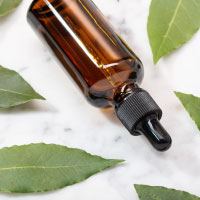Tincture bottle